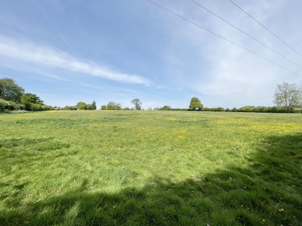 Lot: 39 - LAND EXTENDING TO APPROXIMATELY 5.4 ACRES - 
